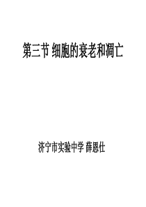 高一生物细胞的衰老和凋亡2高一生物课件