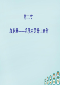 高一生物课件细胞器系统内的分工合作高一生物课件