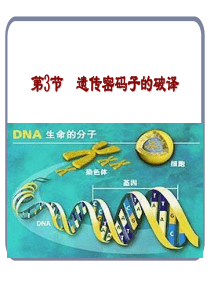 高一生物遗传密码的破译高一生物课件