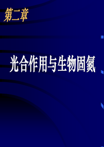 高三生物课件提高农作物的光合作用效率高三生物课件