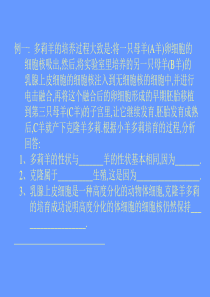 高三生物课件有丝分裂与减数分裂高三生物课件