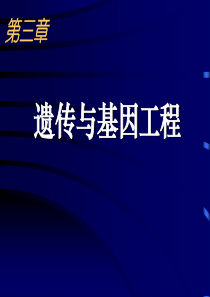 高三生物课件细胞质遗传高三生物课件