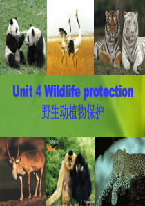 unit4-wildlife-protection英文说课课件