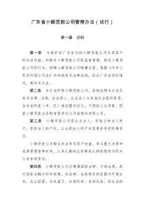 广东省小额贷款公司管理办法（试行）