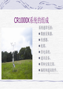 CR1000X数据采集器简介