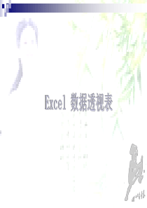 Excel2007数据透视表从入门到精通详解课件