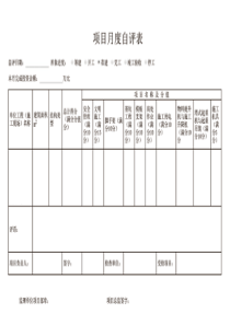 项目月度自评表(广东省建筑施工安全标准化评定信息系统)