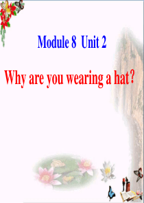 六年级英语下册Module8Unit2《Whyareyouwearingahat》-优秀课件3(新版