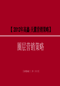 高鑫・天麓圈层营销策划案