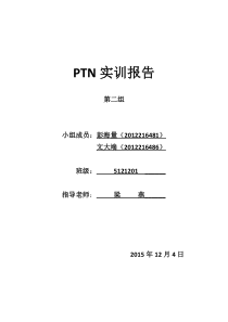 PTN实训报告