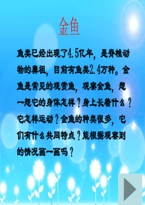 《金鱼》ppt课件