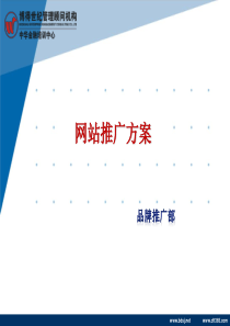 网站推广-企业网络营销解决方案 三亿网络