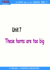 湘少版五年级上册《Unit 7 These horns are too big》ppt课件