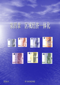 5国际区域经济一体化