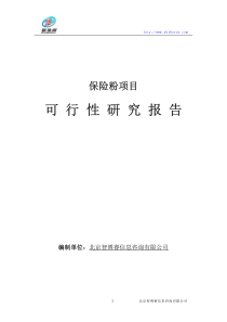 保险粉项目可行性研究报告1