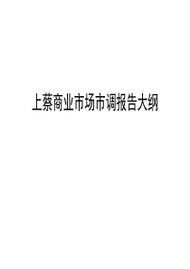 2014年12月最新上蔡商业市场调查报告