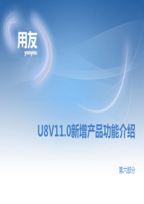 U8 V11.0新增产品功能介绍完整版(第六部分)