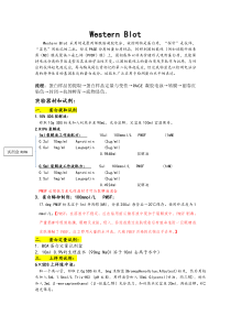 Western-blot详细操作过程