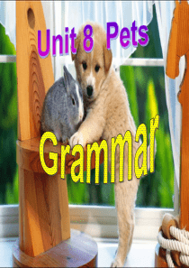 七年级英语下册-第八单元-语法Grammar-第一课时-译林牛津版