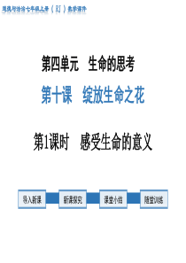 第1课时感受生命的意义人教版七年级上册道德法制精品教学课件