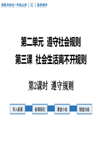 第2课时遵守规则人教版八年级上册道德与法制教学课件