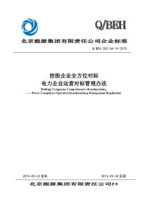 控股企业全方位对标---电力企业运营管理办法[批准版]