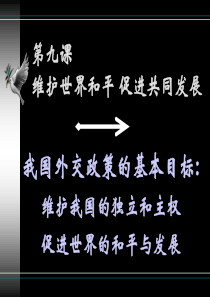 高一政治我国外交政策的基本目标1高一政治课件