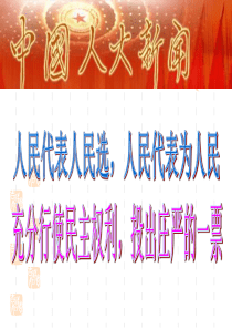 高一政治投出理性的一票2高一政治课件