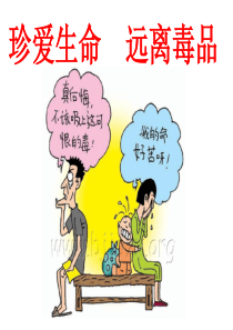 禁毒课件