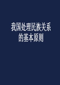 高三政治课件我国处理民族关系的基本原则高三政治课件