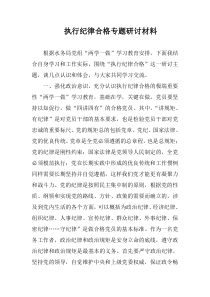 执行纪律合格专题研讨材料