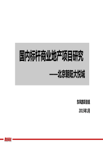 北京朝阳大悦城商业研究