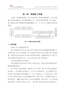 隧道施工操作手册(石武定稿)