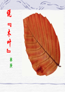 说木叶课件(实用)