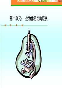 04  第一课时生物体的结构层次复习