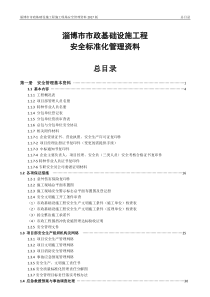 市政基础设施工程安全标准化管理资料(2017版)