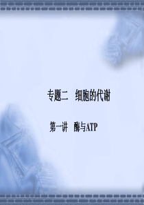 2011高三生物二轮专题复习课件：酶与ATP