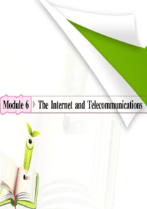 2012高考英语外研版一轮复习资料：必修1 Module6 The Internet and Tel