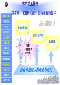 第七章CRM系统中的商业智能技术