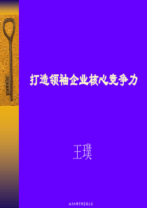 打造和培育核心竞争力经典实用课件：打造领袖企业核心竞争力