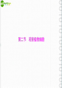 《随堂优化训练》2011年七年级生物上册 第二单元 第一章 第二节 观察植物细胞配套课件 人教新课标