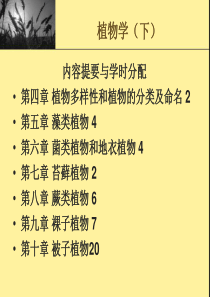 植物多样性与植物的分类及命名