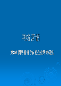 第3章 网络营销导向的企业网站研究3