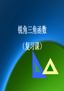 《锐角三角函数》全章复习教学课件