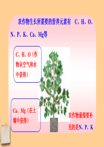 九年级化学下册 第十一单元化学肥料课件 人教新课标版