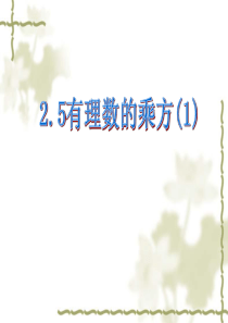 浙教版七年级上册数学课件：2.5有理数的乘方(1)