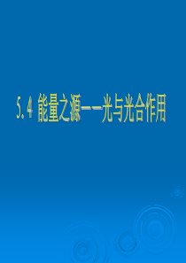 5.4 能量之源__光与光合作用 课件7(新人教版必修1)