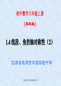 数学 八年级上 第一章 1.4 线段、角的轴对称性(2)