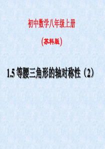 数学 八年级上 第一章 1.5 等腰三角形的轴对称性(2)