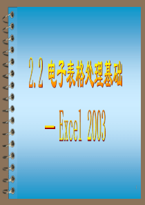 22电子表格处理基础